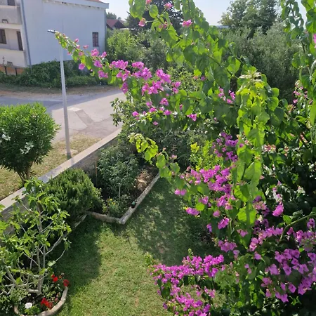 Haus Milana Sabunike 아파트