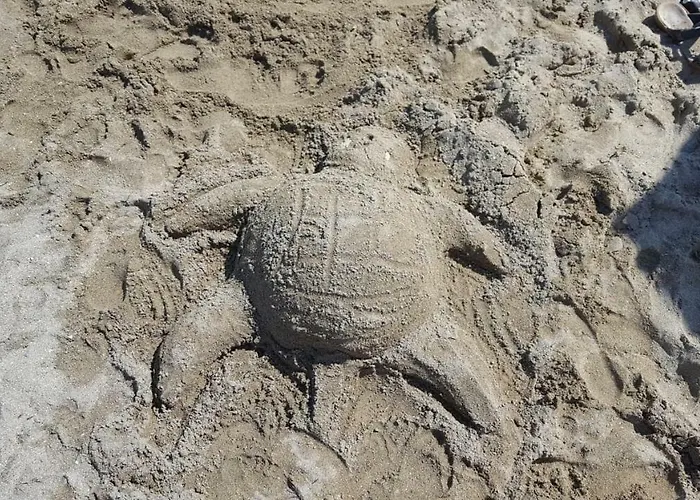 Haus Milana * Privlaka (Zadar)